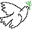 White Dove of Peace